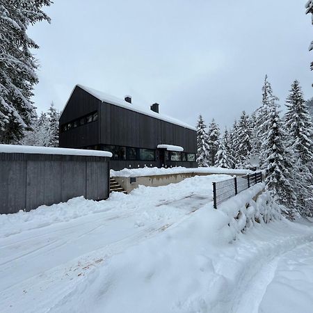 Chalet Dachstein Ramsau am Dachstein Exteriör bild