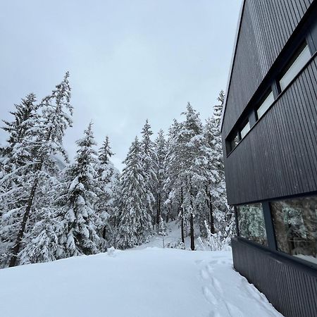 Chalet Dachstein Ramsau am Dachstein Exteriör bild